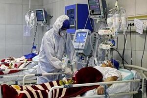113 بیمار جدید کرونایی در مراکز درمانی اردبیل بستری شدند 