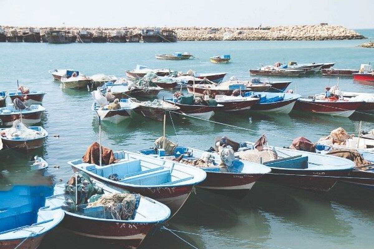 شناور