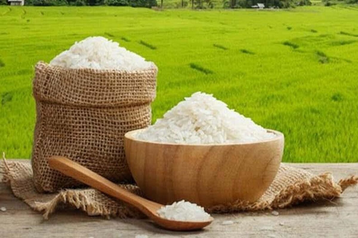افزایش  قیمت برنج ایرانی