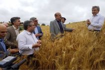 مراکز تحقیقات، مدل جدیدی از زراعت ارائه کنند