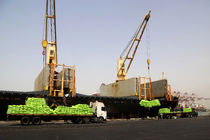 آغاز تخلیه 66هزارتن شکر در بندر شهید رجایی