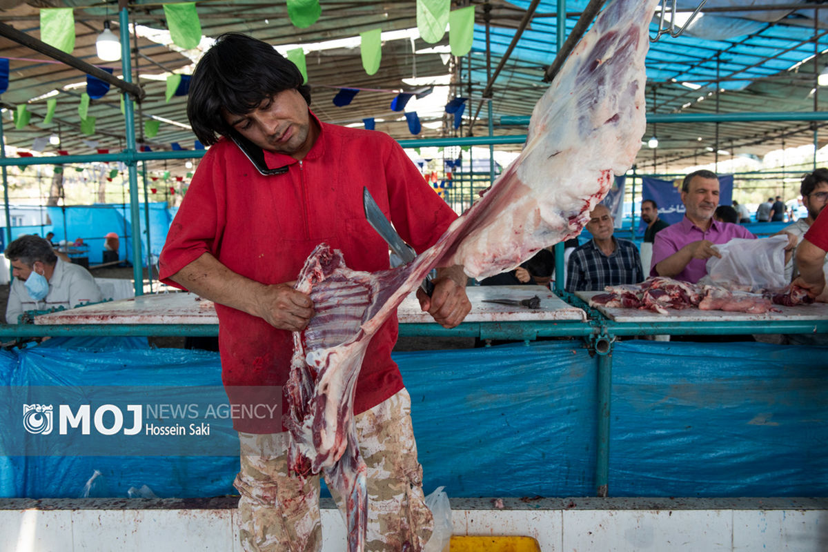 خرید و ذبح دام عید قربان در تهران