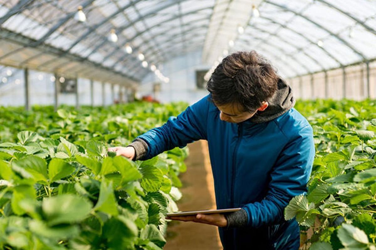 منابع طبیعی