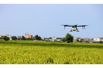 شالیزارهای محمودآباد با پهپاد سمپاشی شد