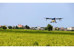 شالیزارهای محمودآباد با پهپاد سمپاشی شد