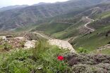 پارک ملی تندوره تعطیل شد