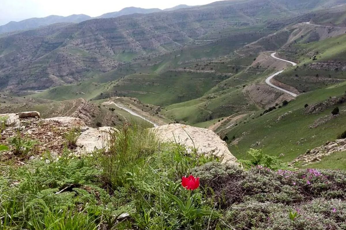 پارک ملی تندوره درگز