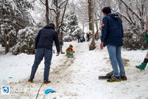 برف و باران تا روز سه شنبه مهمان جو کشور است