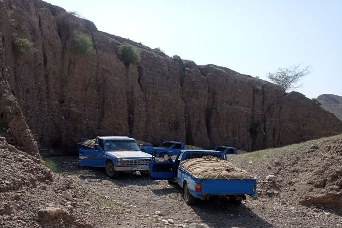 مجتبی+قهرمانی (6)