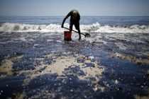 تفاهم‌نامه ٢٠ پروژه محیط زیستی امضا می‎شود 