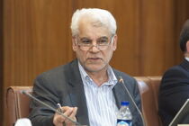 دولت امکان کمک بانک مرکزی به موسسات اعتباری را فراهم کند