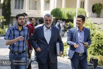 دستگاه های اجرایی چای ایرانی بخرند