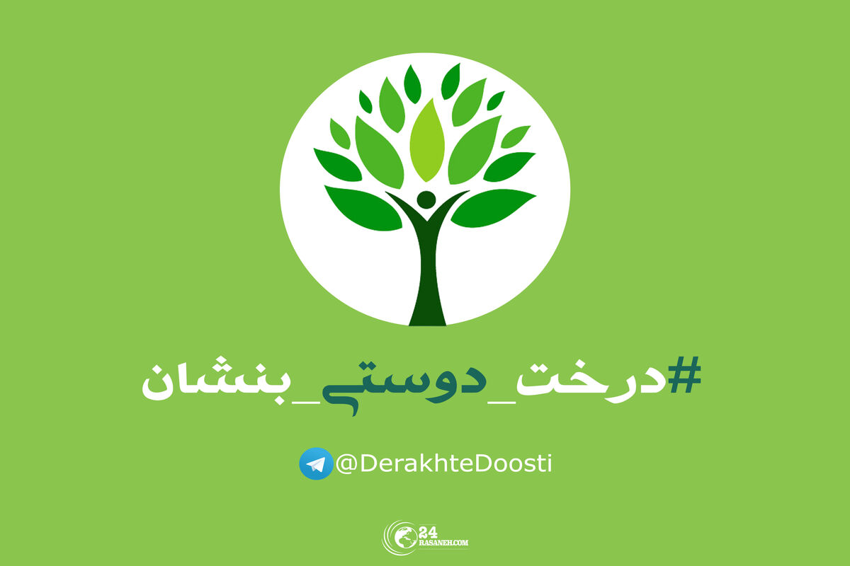 درخت کاری