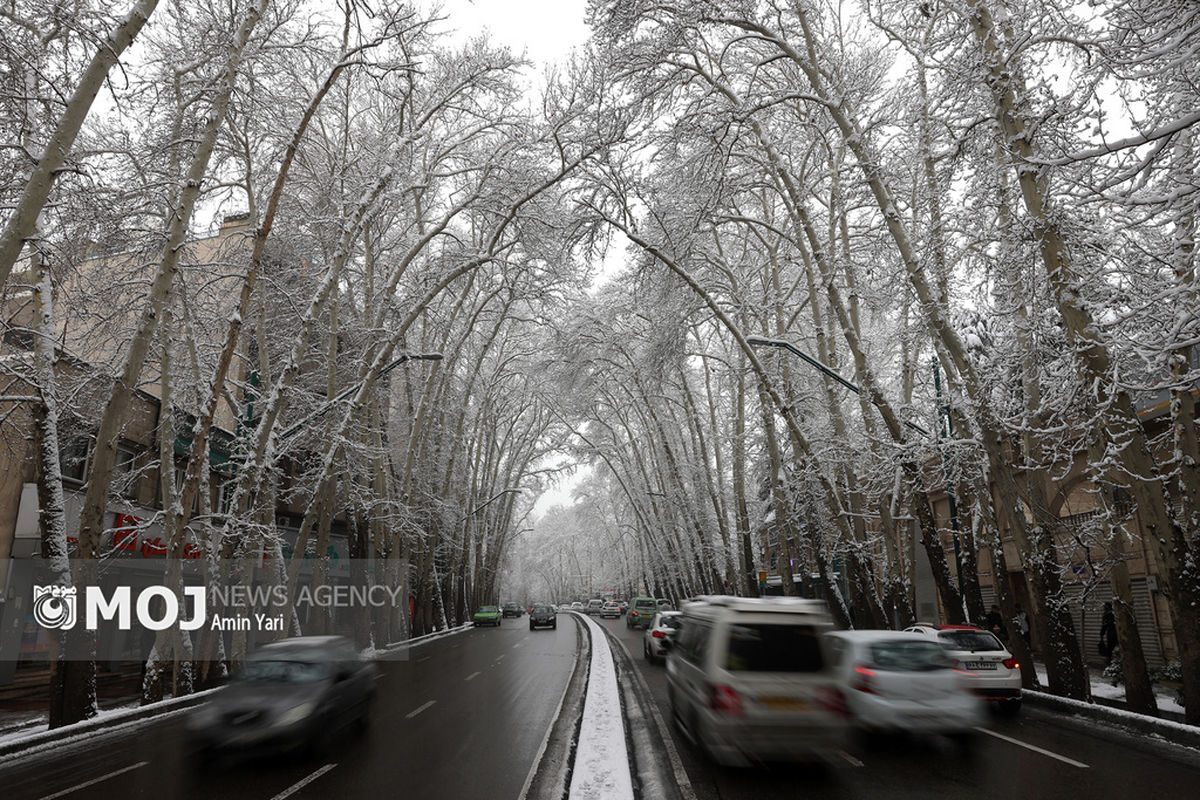 بارش برف در تهران - ۳۰ دی ۱۴۰۴