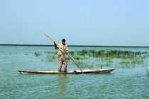 حفاظت از تالاب شادگان با کمک جوامع محلی 