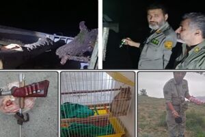 برخورد محیط‌بانان مازندران با متخلفان شکار و صید