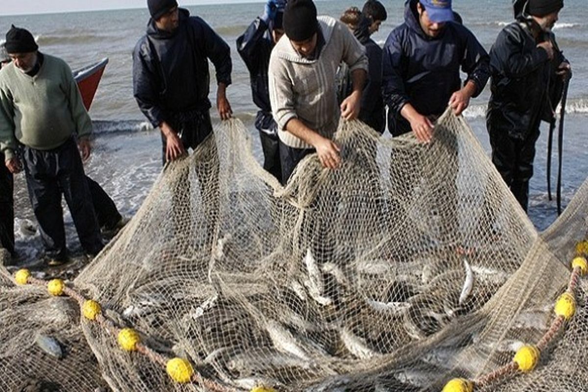 بخشش خزر و رونق بازار صید در گیلان