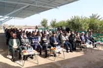 خوزستان در صدر سرمایه گذاری شیلات قرار گرفت