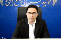 طرح پایش واحدهای نانوایی با هدف درجه بندی آنان در سطح کل نانوایی های شهری و روستایی اجرایی می شود/تعلیق و یا لغو سهمیه آرد در انتظار واحدهای نانوایی متخلف