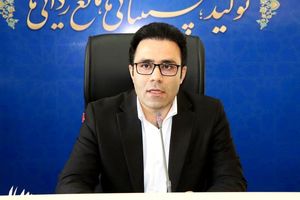 طرح پایش واحدهای نانوایی با هدف درجه بندی آنان در سطح کل نانوایی های شهری و روستایی اجرایی می شود/تعلیق و یا لغو سهمیه آرد در انتظار واحدهای نانوایی متخلف