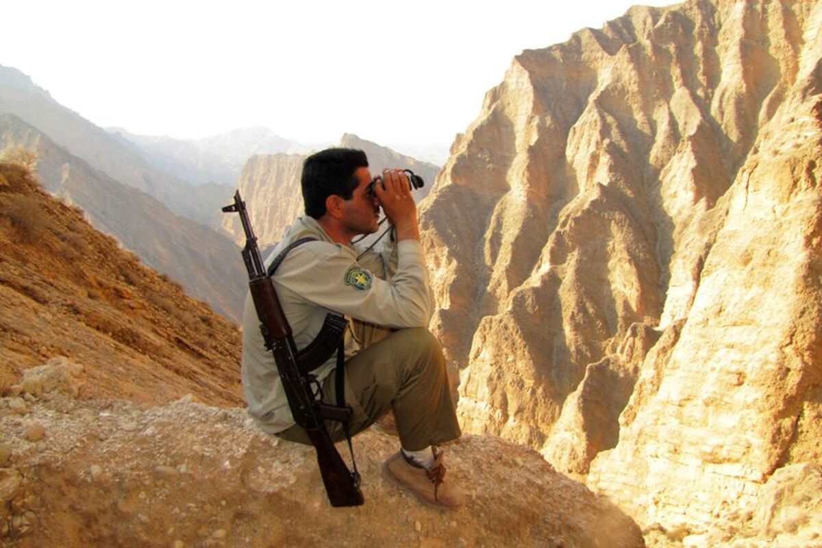 محیطبان