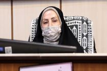 ضرورت ایجاد بسته های تشویقی برای سرمایه گذاری در احداث پل عابر پیاده