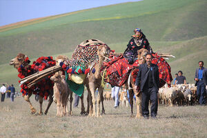 آغاز کوچ بهاره عشایر استان اردبیل