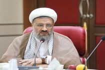 ساختار و سازمان سپاه در بین نیروهای مسلح منحصر به فرد است