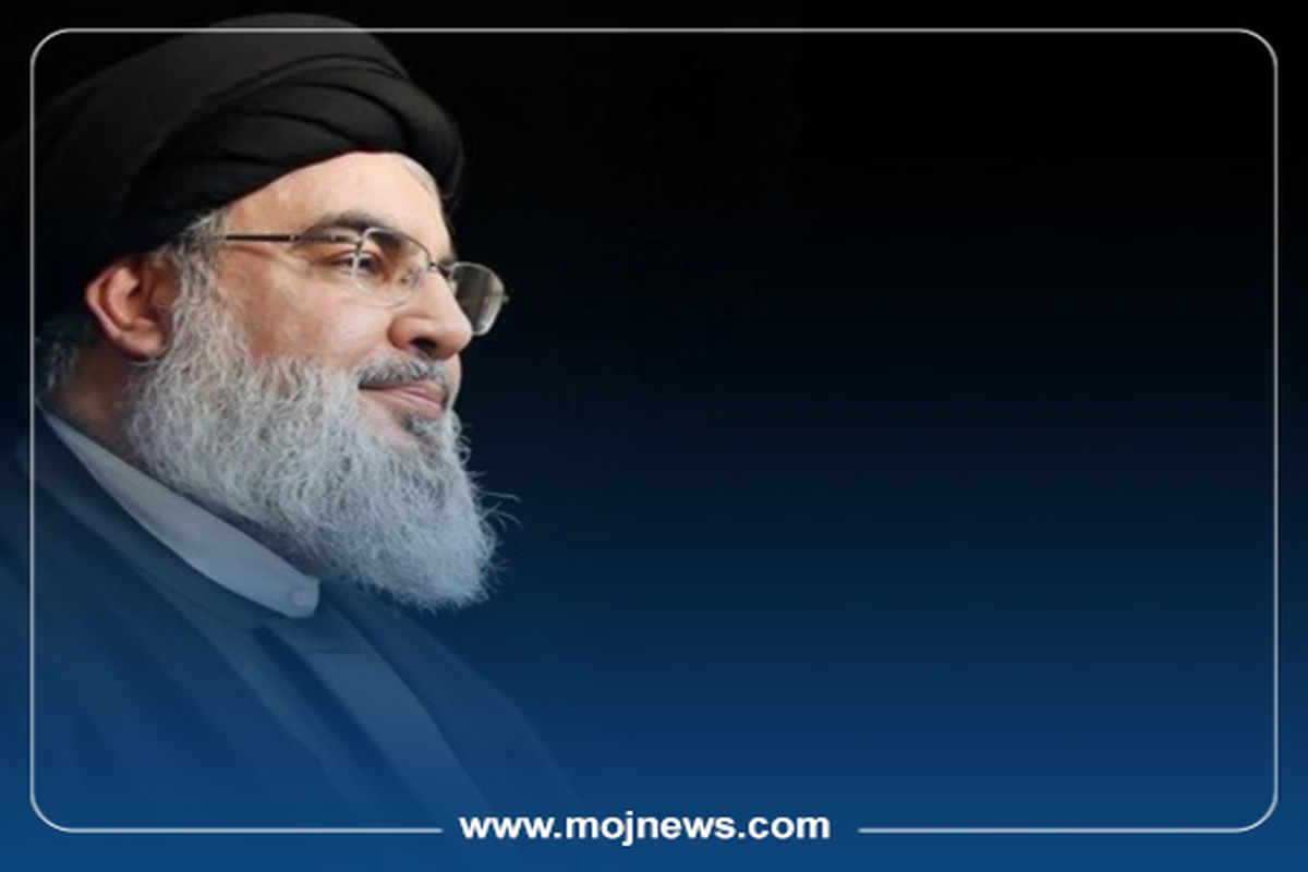 کاور اینفو2 copy475