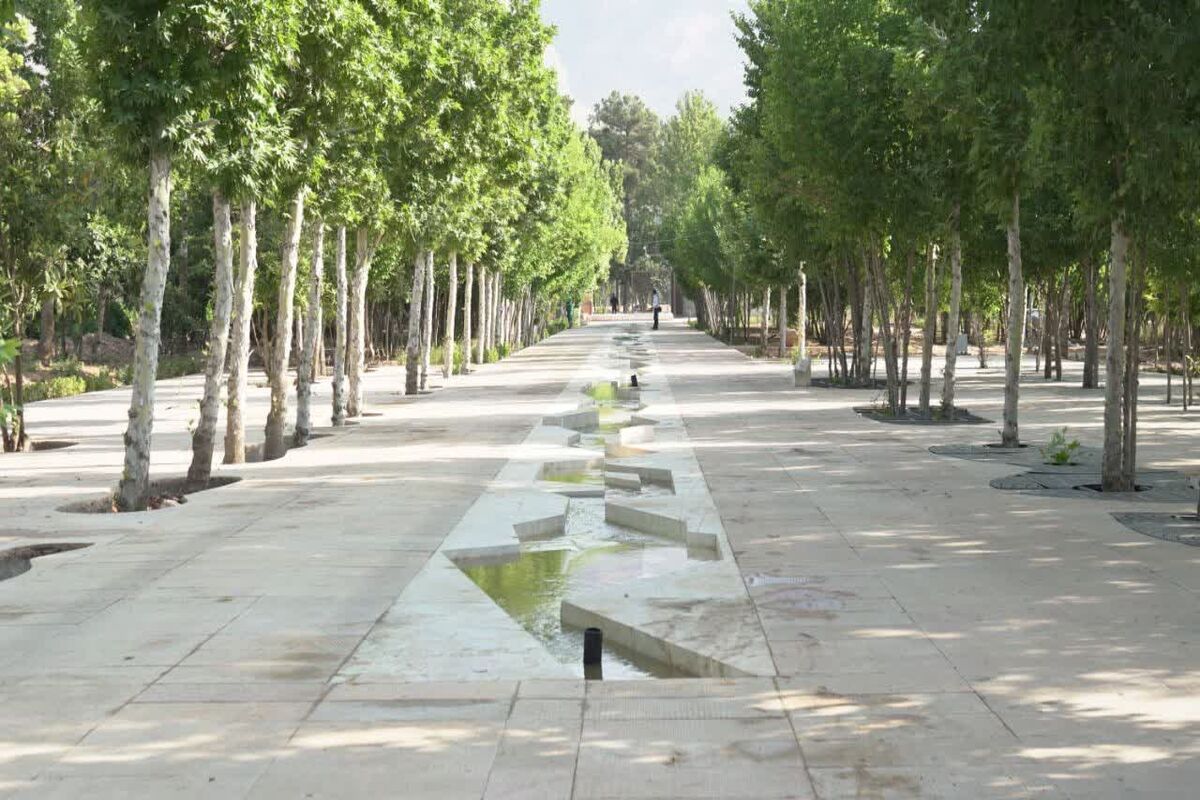 شهرداری شیراز 