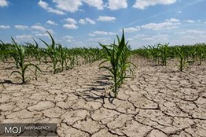 چاه‌های جدید دیگر پاسخگوی آب تهران نیست + فیلم