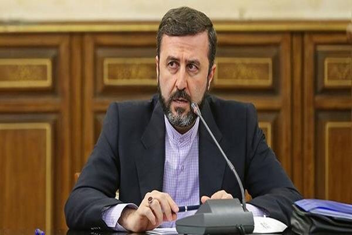 دبیر ستاد حقوق بشر