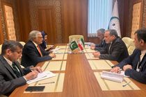 رایزنی وزرای خارجه ایران و پاکستان درباره بحران غزه و پرونده هسته‌ای