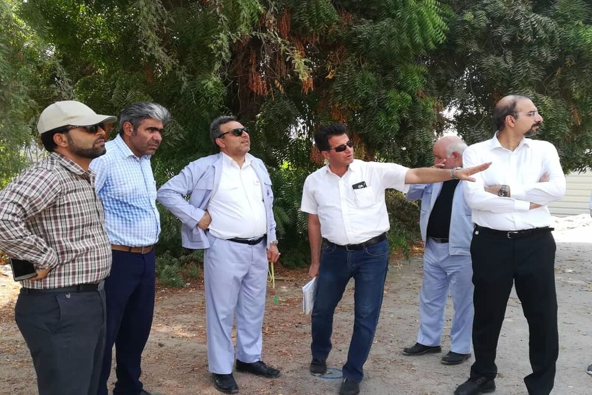 بیمارستان نفت ستاره خلیج فارس