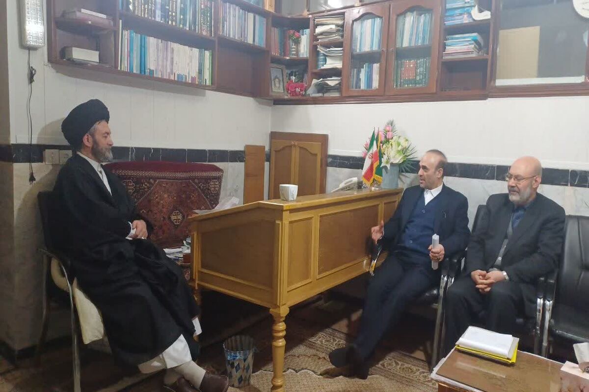 دیدار معاون قضایی با آیت الله عاملی