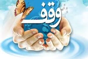 سامان‌دهی خیریه‌ها و اوقاف در فضای کسب‌وکار کشور لازم است