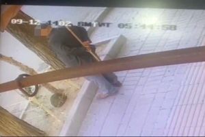 عامل حیوان‌آزاری در اردبیل دستگیر شد