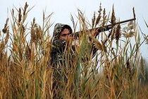 سه شکارچی متخلف در بندرلنگه به دام افتادند