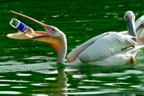 محیط زیست مورد توجه جدی دولت است