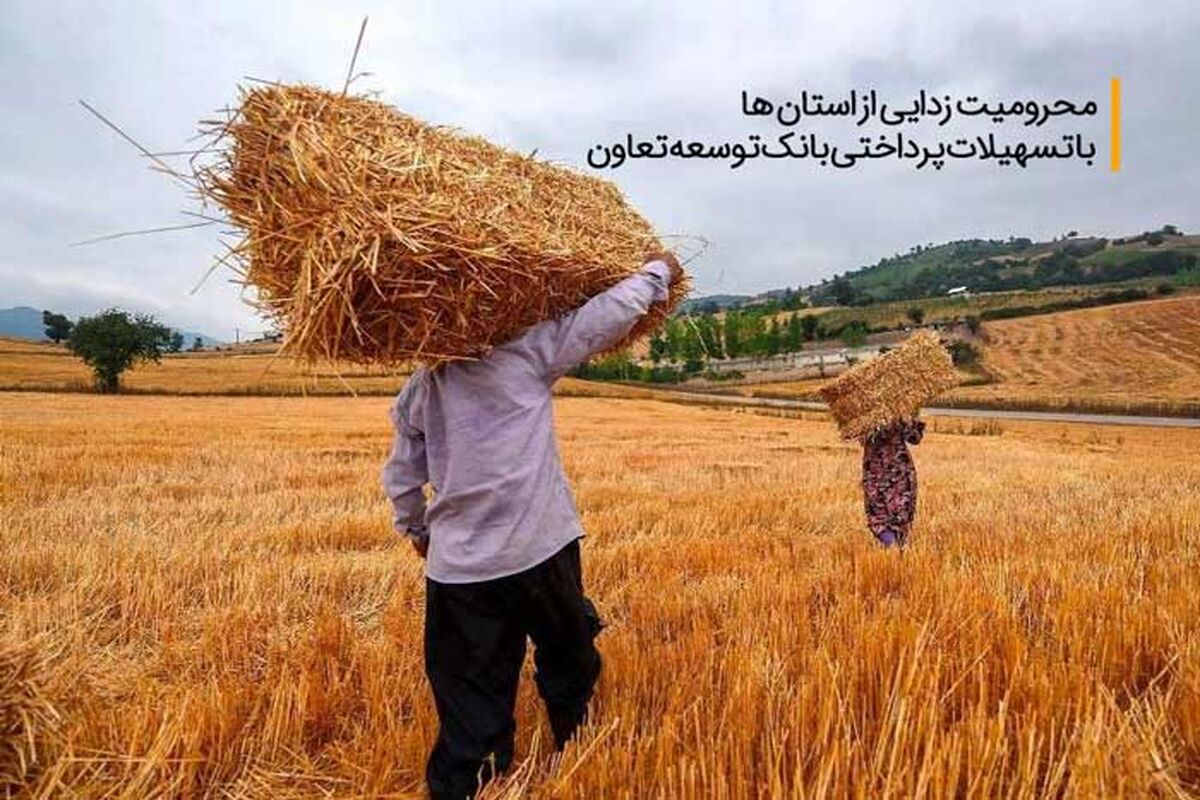 بانک توسعه تعاون
