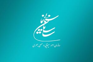 مجوزهای سازمان سینمایی شش ماه تمدید شد