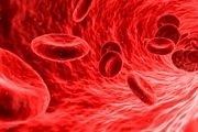 جدیدترین دستاوردهای نرم افزاری گوگل/ تشخیص علائم اولیه سرطان توسط گوگل