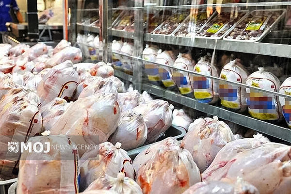 اعلام قیمت جدید مرغ زنده و گوشت مرغ منجمد
