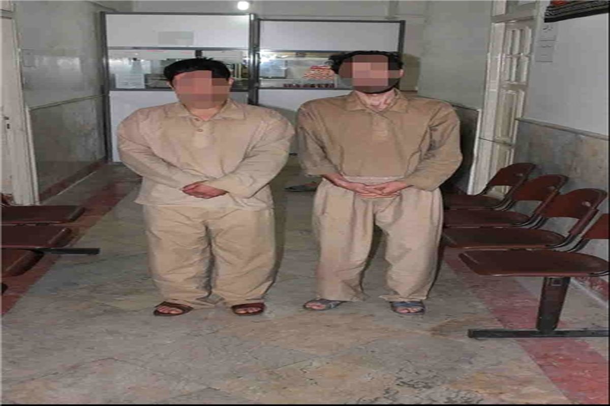 گروه سارقین منزل