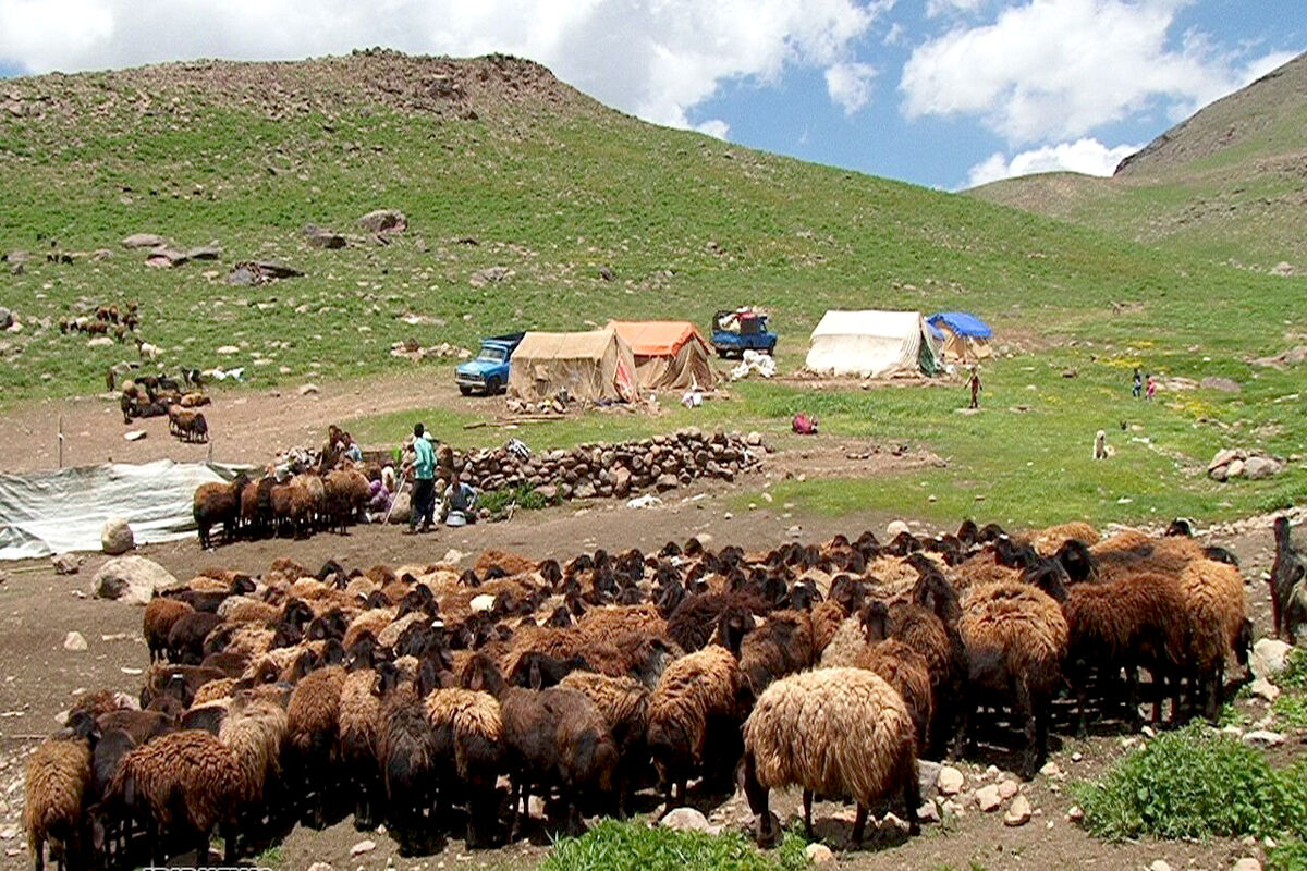 مدیر کل امور عشایر خراسان رضوی