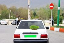 ممنوعیت گذاشتن سبزه روی خودرو در روز طبیعت