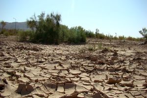 عملیات بیابان زدایی ۲۰هزار هکتار اراضی بیابانی تهران