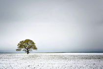 ارتفاع برف در اردبیل به 6 سانتیمتر رسید/روزهای آفتابی در راه است