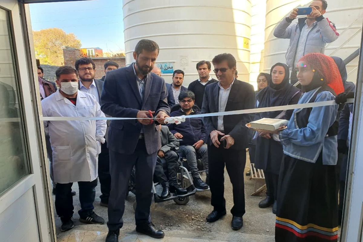 رایکا3