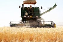 همزمان با برداشت گندم و کلزا هزار دستگاه کمباین  به خوزستان وارد شدند/ ممنوعیت پرداخت سوخت به کمباین های فاقد برگ معاینه فنی
